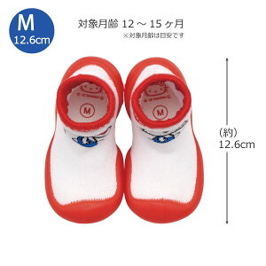 \bNXV[Y n[LeB /y䂤pPz / t@[XgV[Y xr[V[Y xr[\bNX xr[ V[Y \bNX C C  Ԃ 킢 ₷