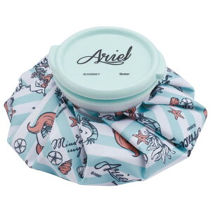 ACXobO S [nyuka]/ yʗX֑z / M  ΍ M ACVO X X̂ XX ACXobN Ђ傤̂ 킢 LN^[ RpNg  wZ  w 