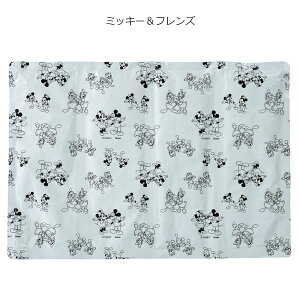 Ђ p}bg /y䂤pPz /܂肽 RpNg p }bg ~j 1lp   w ybg   ΍ M ₽ ₷ AEghA Lv X|[c ϐ W