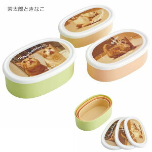 R V[e 3PZbg / yRpNgցzLN^[ ObY ۑP[X 3_Zbg ٓ ۑe `{bNX P[X  dqW [ q RpNg 킢 q