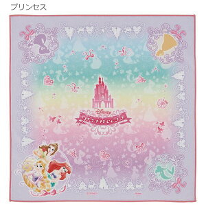 `NX 43cm×43cm / ylR|Xz / s^b  `NX itL  ΂Ȃ LN^[ `}bg qp ٓ ٓ ٓ