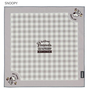 `NX 43cm×43cm / ylR|Xz / s^b  `NX itL  ΂Ȃ LN^[ `}bg qp ٓ ٓ ٓ