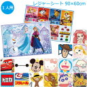 レジャーシート S / 【普通郵便送料無料】 / キャラクター 子供用 ミニサイズ レジャー シート マット 敷物 ピクニッ…