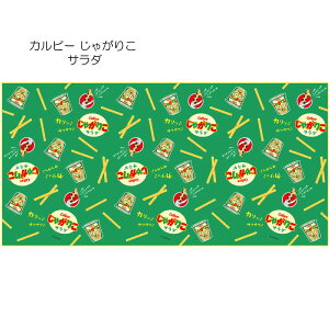 レジャーシート L / 【ネコポス送料無料】 / 二人用 2人用 コンパクト 大人 大人用 子供 子供用 畳 レジャー シート マット 敷物 ピクニック 折りたたみ おもしろい おもしろ スケーター