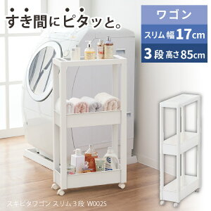 Favie XLs^SS 3i W002S / t@rG  [ S X 17cm 85cm I[v bN Lb` o