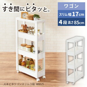 Favie XLs^SS 4i W030S / t@rG  [ S X 17cm 85cm I[v bN Lb` o