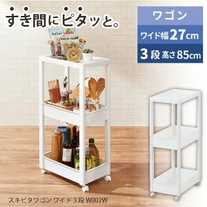 Favie XLs^SW 3i W002W / t@rG  [ S 3i Ch 27cm 85cm I[v bN Lb` o