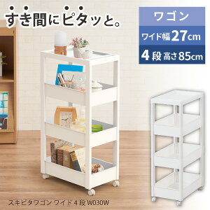 Favie XLs^SW 4i W030W / t@rG  [ S Ch 27cm 85cm I[v bN Lb` o