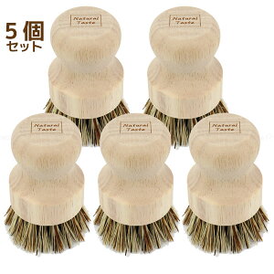 NTC Lb`uV 12153 /yRpNgցz / ^V uV Lb` VRf nɂ₳ p[ VR   | ނ DƂ  