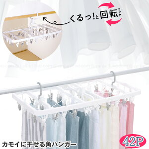 UDJCɂpnK[42P 20190 / nK[ nK[ pnK[ JC   ] JCtbN ƃLb` TChtbN Oʂ  42s`