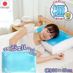 WF}bg ECO  U-R281 / ylR|Xz / Ђ  WF }bg  NbV  ①sv WF