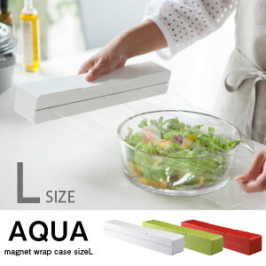 bvz_[  / }OlbgbvP[X ANA L AQUA/y|Cg {z