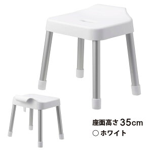 ~Xg MIST R / |CCX C֎q ӂ낢 oX `FA | [  y Vv mg[