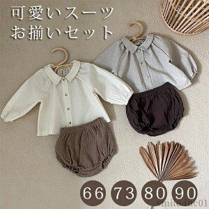 yzuEX tH  Vv a  ܎O X[c  Ԃ  ڂpc lN^C