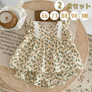 yzVbgpc t m 蕨 o[Xf[ {Q  ʉ  a  ZbgAbv