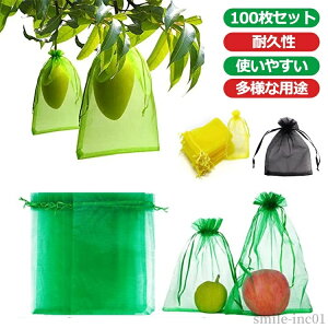 yzВ t[clbg  ƒ؉ K[fjO t[c K[fjOpi |pi