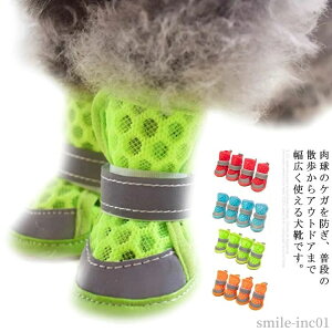 �y���������z���p�i �y�b�g�p �_�炩�� �X�|�[�c ���p�b�g �������₷�� ����~�� �\�b�N�X �C�� �ʋC�����Q