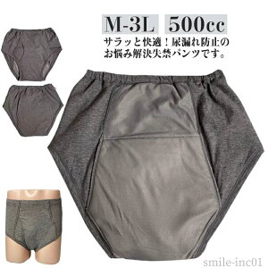 yzAR xp dxp zV[c pA 500cc OJ փpc jp 傫TCY e փpc pc AR 