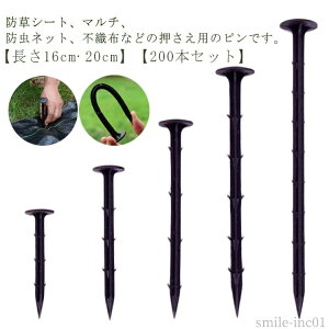 yzlH Œs V[g s }Y Y TV[gs 200{Zbg 16cm hV[gp hV[g s 20cm