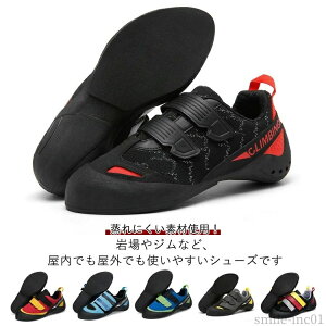 yzqp LbYp NC~OV[Y  Y fB[X ʋC WjA j̎q ̎q S {_OV[Y