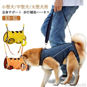 yzb Sgn[lX p s⏕n[lX Vn[lX Ȃ pn[lX pi s⏕ Sg n[lX 