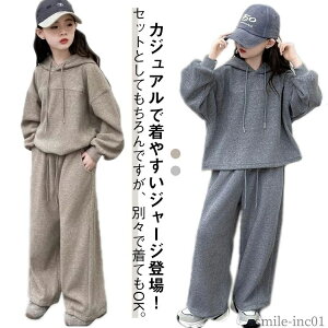 yzWjA q Y{ pc p[J[ t[ht ㉺Zbg X|[cEFA ZbgAbv LbY K[Y W[W ̎q