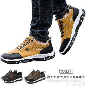 yzgb ^C L ʋC Xj[J[ EH[LOV[Y ʋ h Xj[J[ ʊw V[Y oRC  C Y 