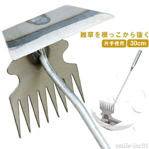 yzK[fc[ 蓮  Vx XRbv G |pi |py  K[fjO  30cm F