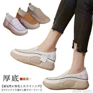 yzJWA  ʋC EhgD r  Xb| lԍHw [t@[ O q[5cm  V[Y