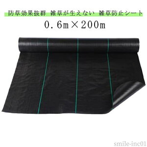 【送料無料】ビニールハウ 駐車場 防草シート 砂利や人工芝の下敷き ぼうそうシート 田んぼ シート 雑草 庭 幅0.6m×200m 耐久性 畑 耐久年数