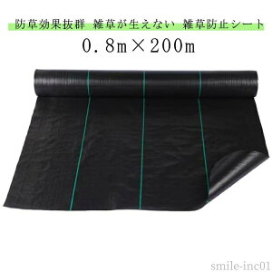 yz   V[g   0.8m×200m sv V[g GV[g ϋv hV[g V[g hV[g