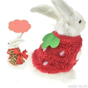 yzgbvX ^   NX}X v[g o U 䕃^Cv  ybgpi ybg L e bg