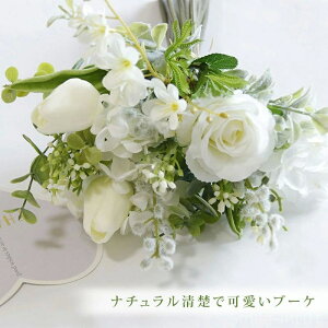 yzi`^ł킢u[P ԑ EGfBOu[P zCg  `[bv o 21cm@ 