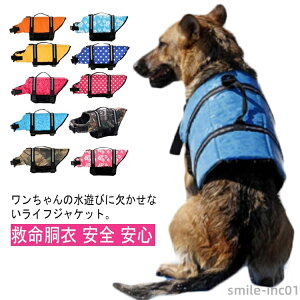 yzp CtWPbg CtxXg ̃CtWPbg ybgp CtWPbg    ~ 