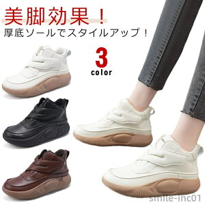 yz Xj[J[ V[Y ₷ Xj[J[ Xb| RtH[gV[Y Xj[J[  