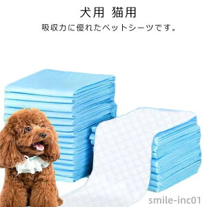 yzybgV[c M[ 200 Ch100 X[p[Ch80 ybgpV[c gCV[c ^ p Lp 