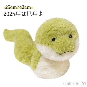 yzx   25cm  u xLbg N ւ 43cm  ʂ 2025N ߘa7N wr }XRbg N