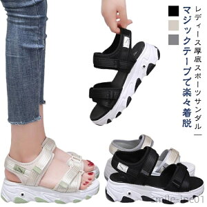 yzXj[J[T_ fB[X  X|T RtH[gT_ X|[cT_ y ~ Xj[J[ Xgbv