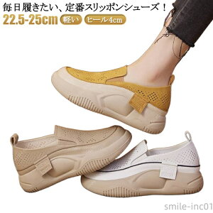 yzO Xb| fB[X  y  ʋC RtH[gV[Y gAbv Xj[J[ q[4cm C O