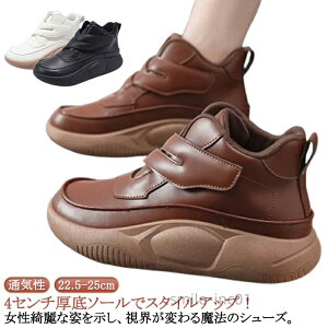 yz  fB[X O Xj[J[ q[4cmXb| RtH[gV[Y V[Y Xb|