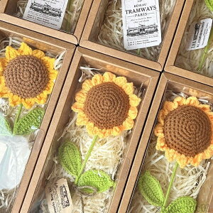 yz12*28cm \Mtg ޏ 搶 Ƒ Fl v[g C Mtg{bNX Ђ܂