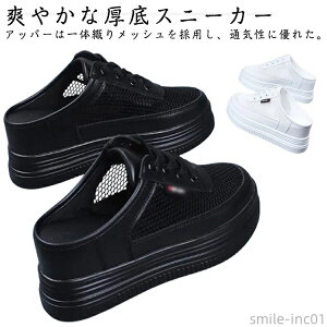 yzƂȂV [t@[ [Jbg bV Xj[J[ T{T_ T_  ʋC ƂȂXj[J[ fB[X