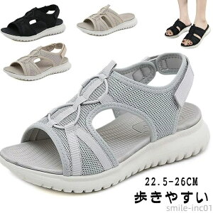 yzy ʋC  I[vgD ɂ EH[LO ItBX  bV 傫TCY fB[X X|[cT_