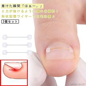 yzC[K[h  ew  yÂ߁z ܃C[K[h 4 ubN e[v   ܂Â ܂