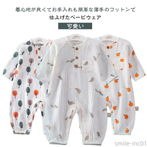 yzo|  K xr[ ԕ K[[ p[X  p[X xr[ [΍ ̎q  Jo[I[ j̎q 