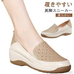 yz}}V l _炩 V[Y U[V[Y ₷ ʋC    V[Y Xb| Xj[J[