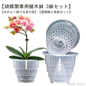 yz vX`bN rt a15cm a12cm h~ ʋCQ ^ Mt  Ӓ̐Aւ 3Zbg Aؔ