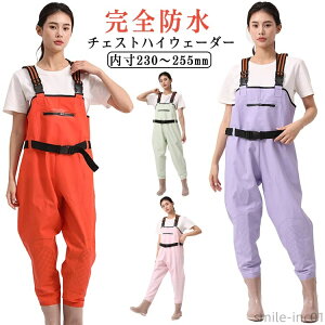 yz`FXgnC  _ C tC EF[_[  |Pbgt Cނ EF[_[ PVC kނ fB[X h ނ