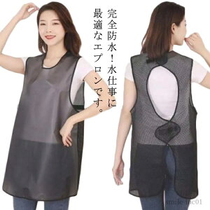 yzTPU Lv ϐ hGv ƒp jp Gv Ǝ n fB[X 䏊 h |Pbgt Ɩp Lb`