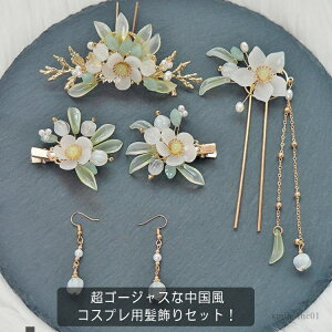 �y���������z6�_�Z�b�g �Õ� ���ؕ� �s�A�X �w�A�A�N�Z�T���[ �R�X�v�� �� ������ ���� �`���C�i�� �R�X�`���[�� ������ �t�����W���񂴂�